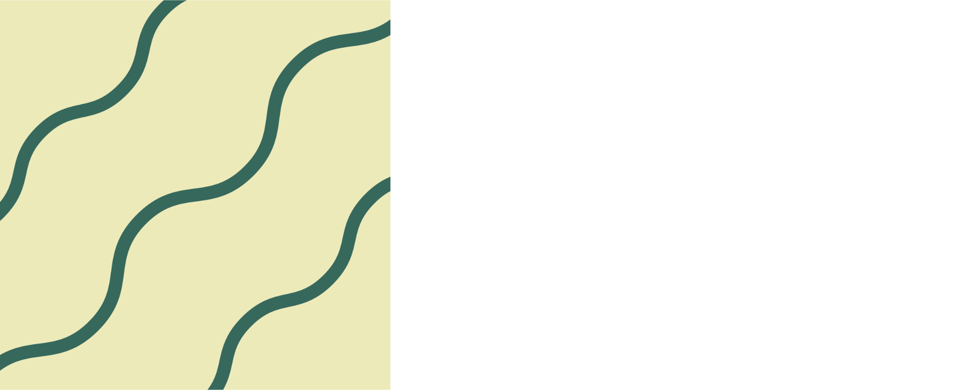 MisterDecor logo
